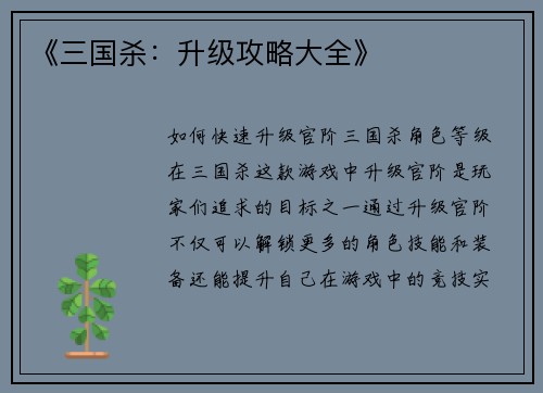 《三国杀：升级攻略大全》